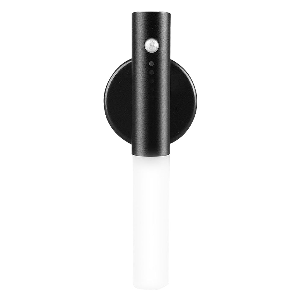 Rechargeable LED motion sensor light with fancy wood combo