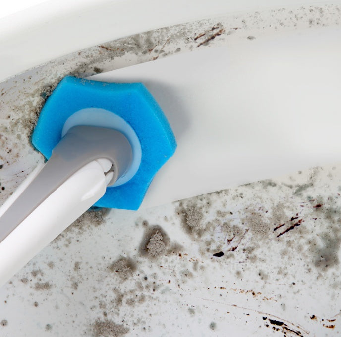 Clean and hygienic toilet brush with fresh sents