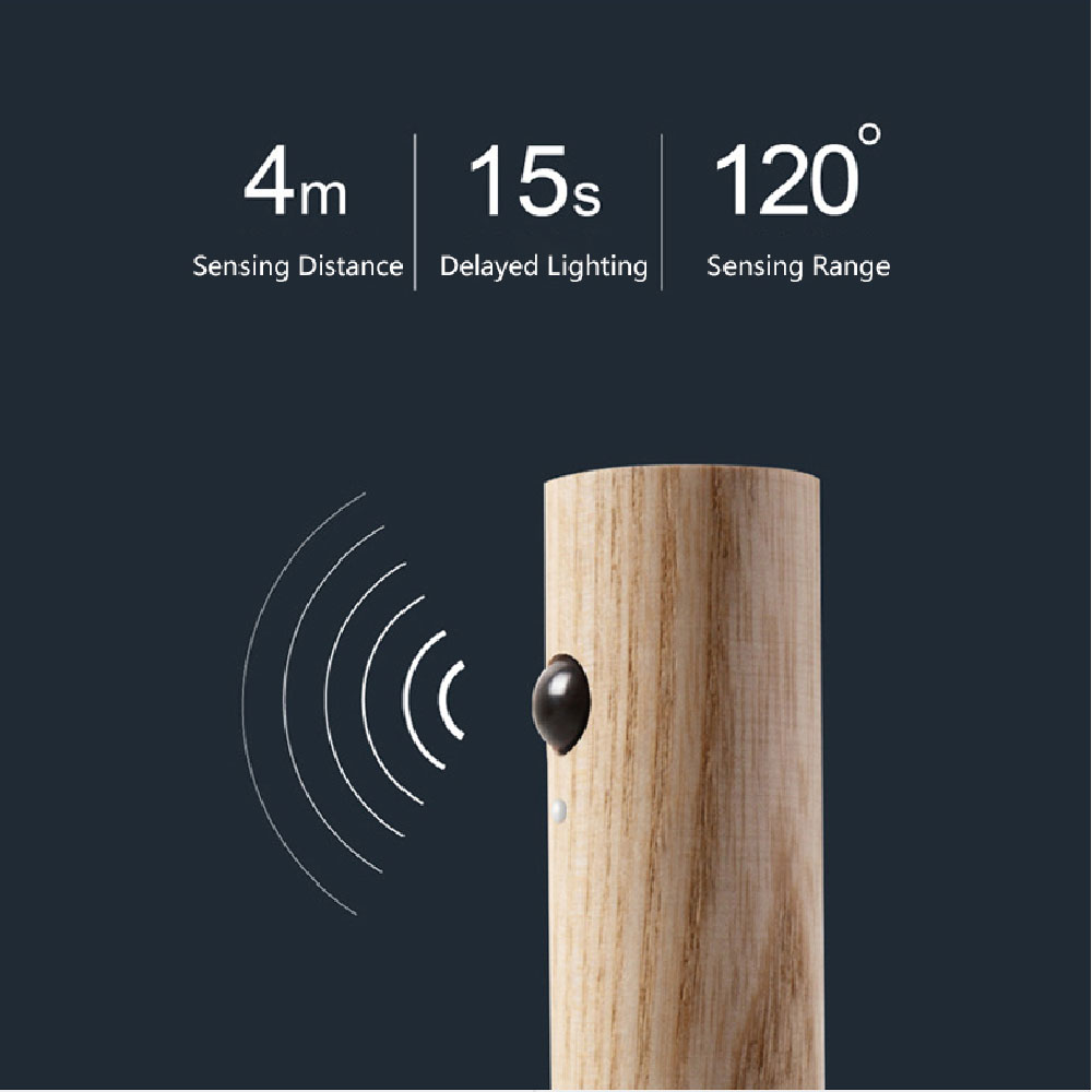 Rechargeable LED motion sensor light with fancy wood combo