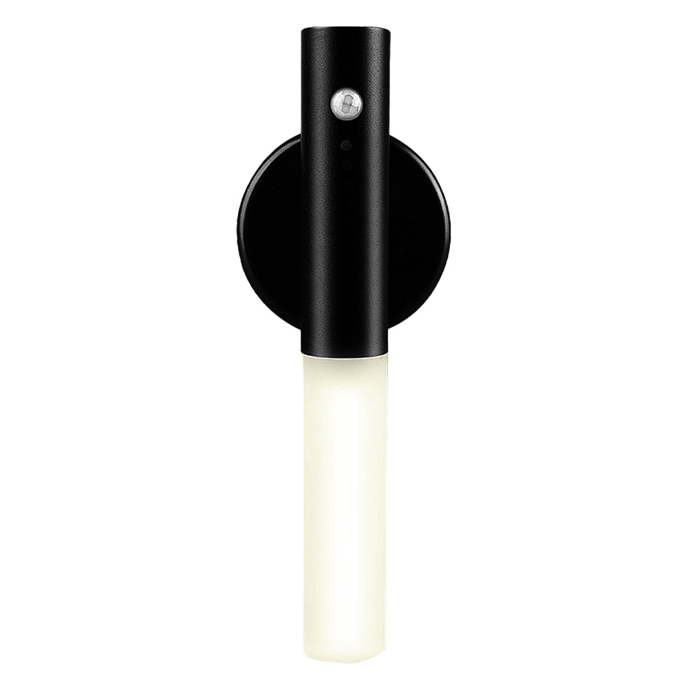 Rechargeable LED motion sensor light with fancy wood combo